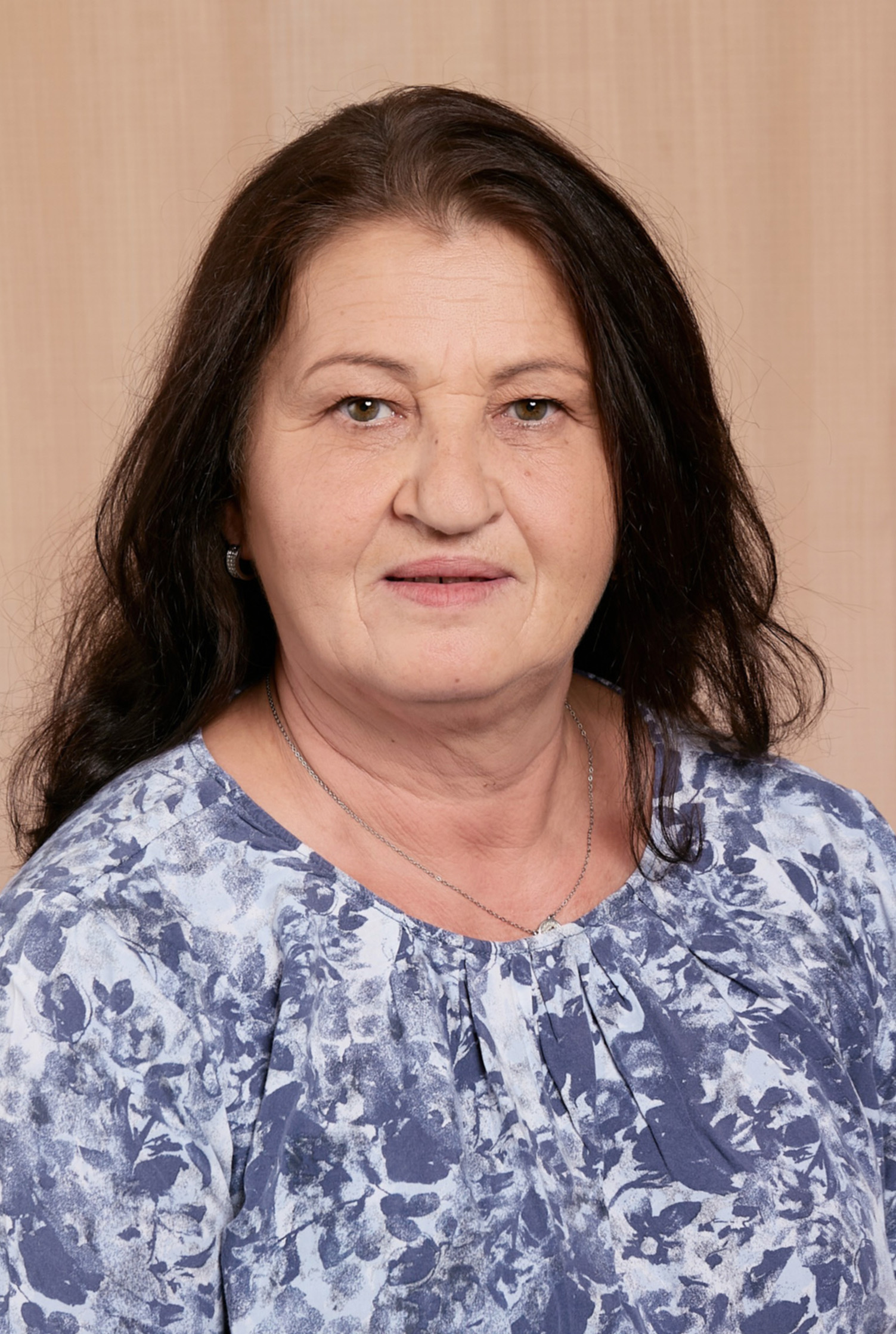 GoricaBrankovic