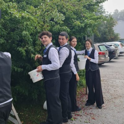 Menschen in festlicher Kleidung pflücken Beeren, jeder hält einen Eimer in der Hand.